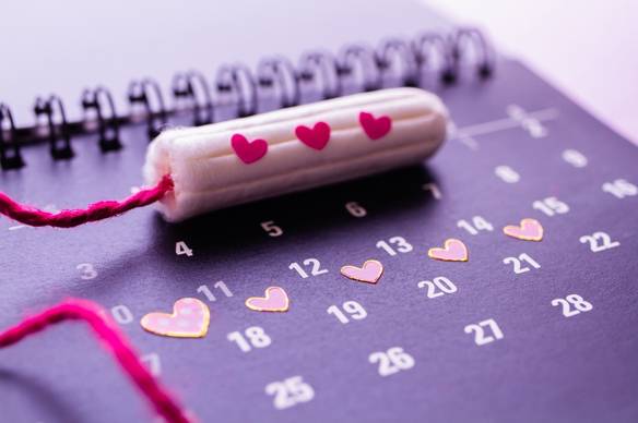 ciclo menstrual ciclo menstrual